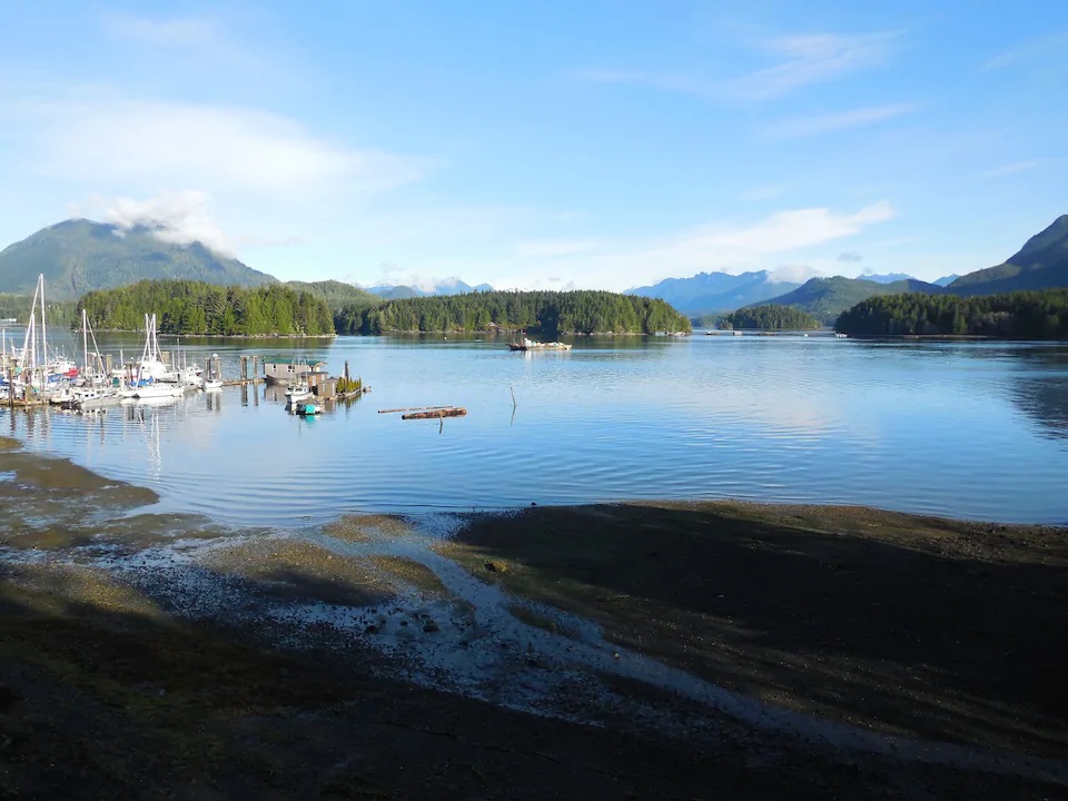 Island Vista - StayTofino.com