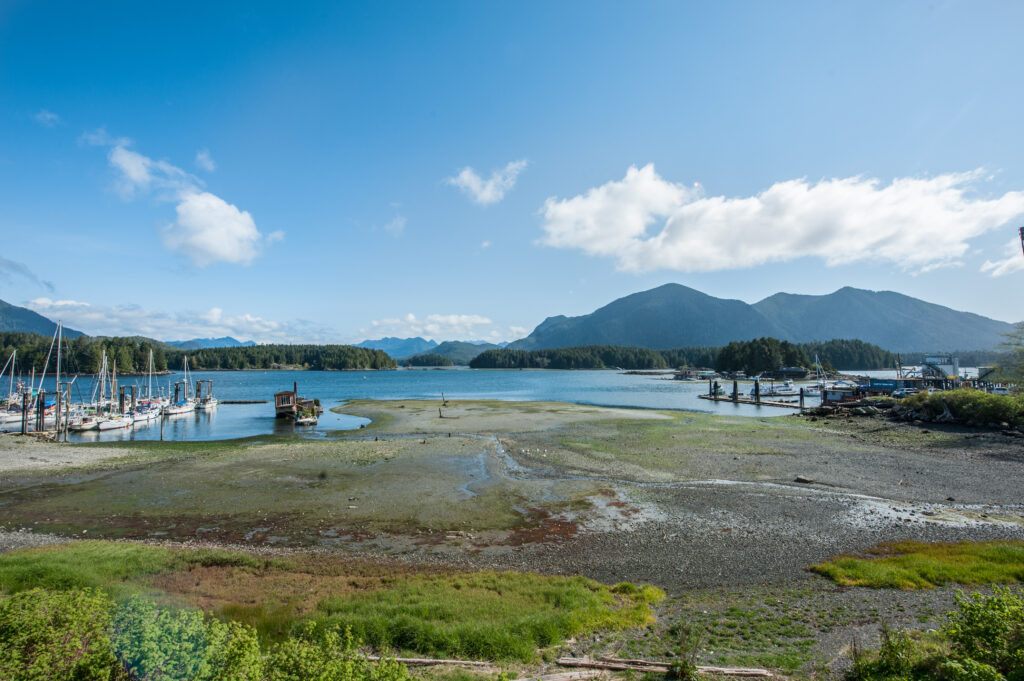 Spyglass - StayTofino.com